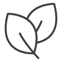 Minimal line illustration of two leaves, representing the EYLUME Safe For All Skin Types feature that highlights the mask’s gentle, skin-friendly design suitable for every skin type.